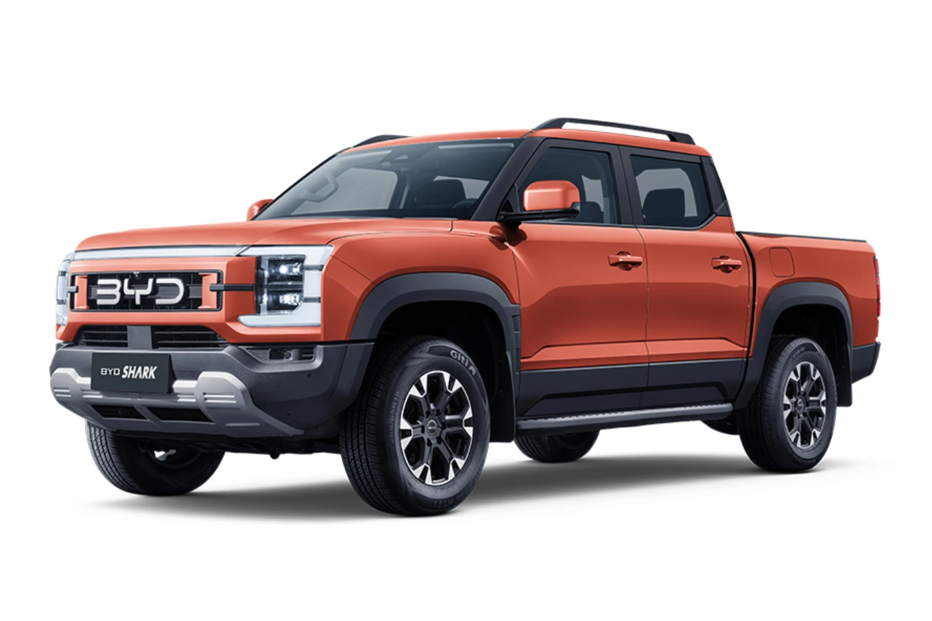 BYD Shar 6 Cart Car Image