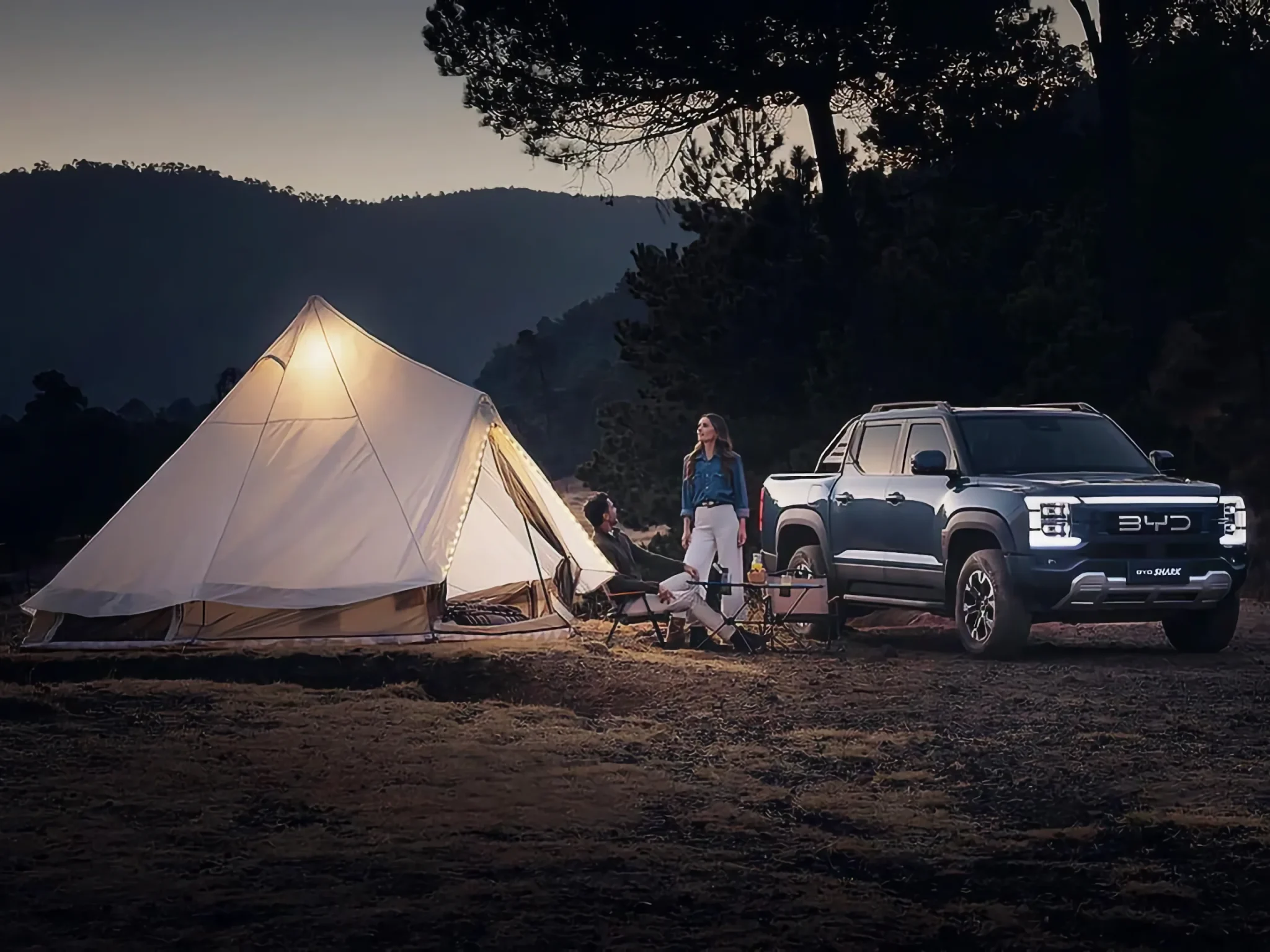 BYD Shar 6 Gallery Image 3