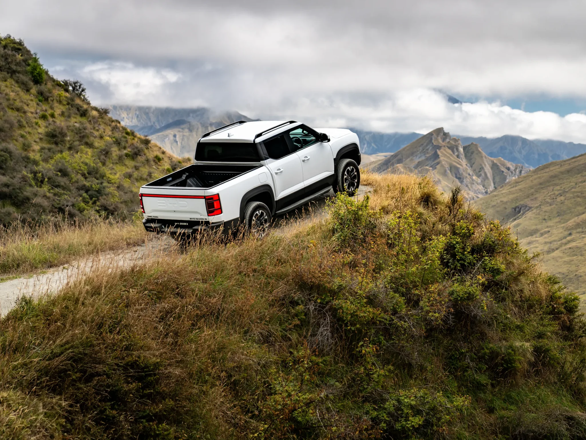 BYD Shar 6 Gallery Image 5