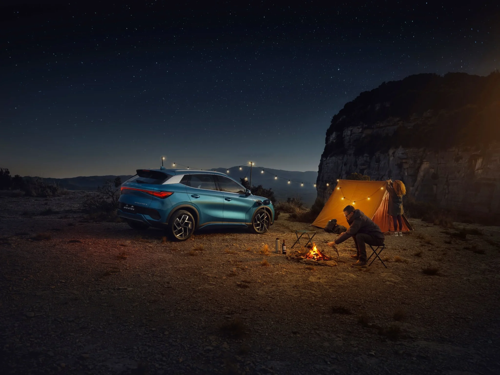 BYD Atto Gallery Image 2