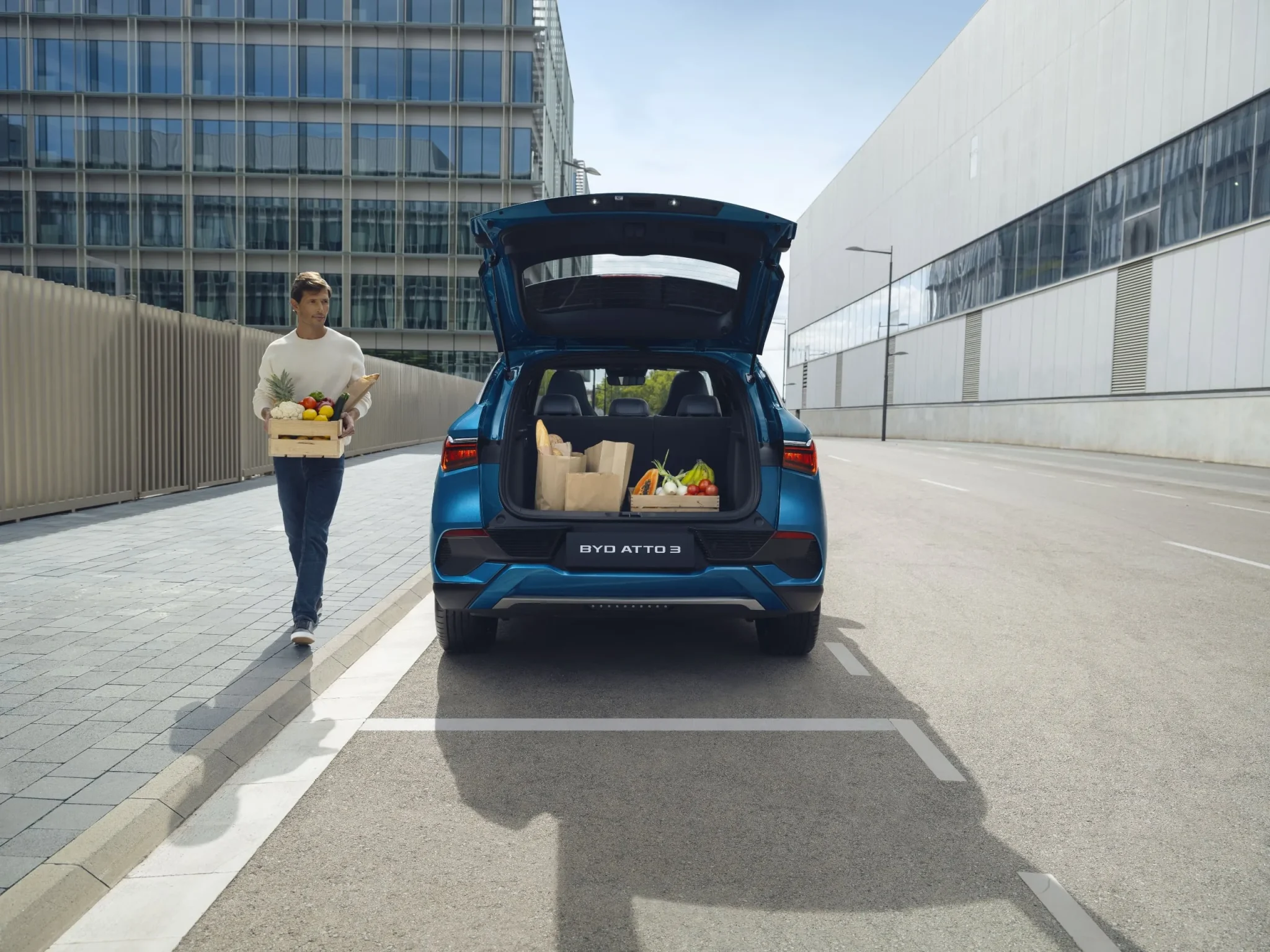 BYD Atto Gallery Image 5